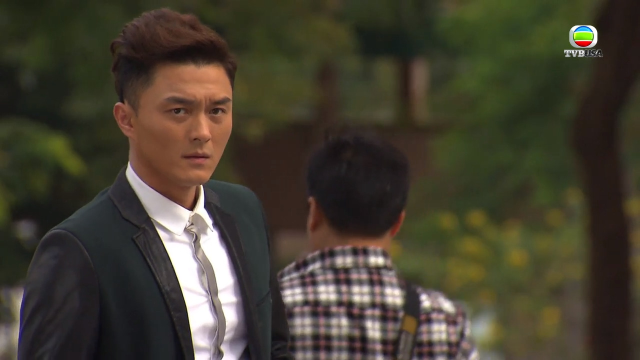 My Commissioned Lover-婚姻合伙人