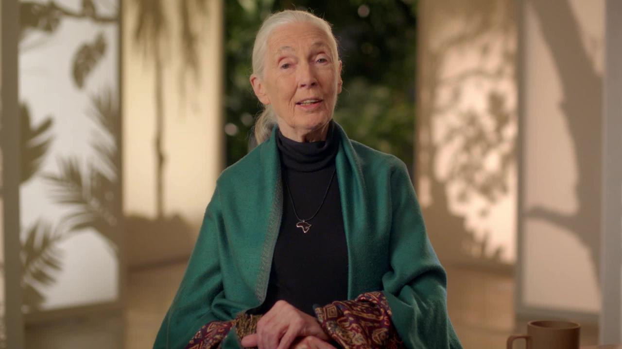 Dr. Jane Goodall certainly inspires hope through action. It was a pleasure  to listen to the sage words of this living environmental legend…