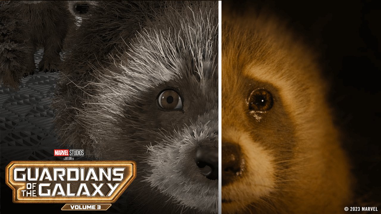 Mcu Raccon Marvel Raccoon
