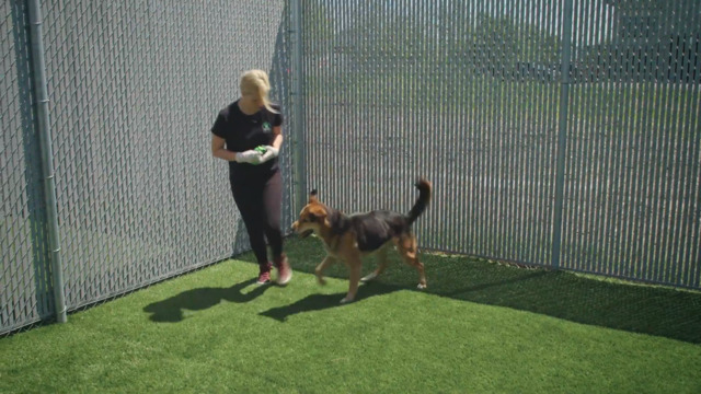 Épisode 05 Refuge animal TVA en rattrapage TVA+