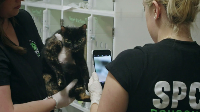 Épisode 04 Refuge animal TVA en rattrapage TVA+