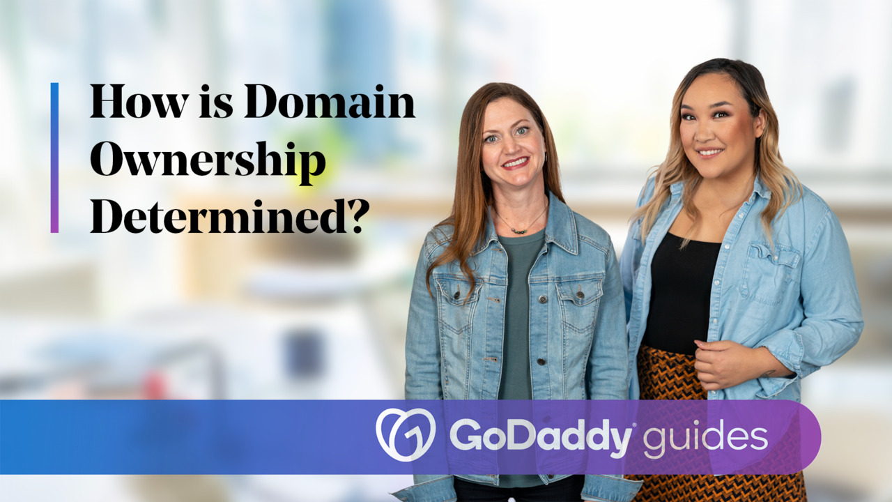 WHOIS Domain Lookup - Find out who owns a website - GoDaddy