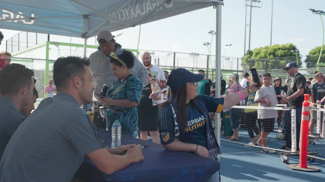 LA Galaxy on X: Vamos Los Angeles! 💙🤍💛 #LAGalaxy x @ModeloUSA / X