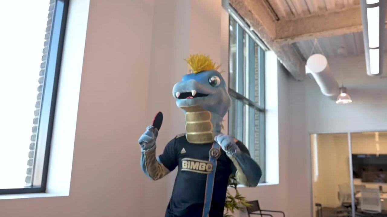 Mascot battle! New Philadelphia Union video game pits Phang
