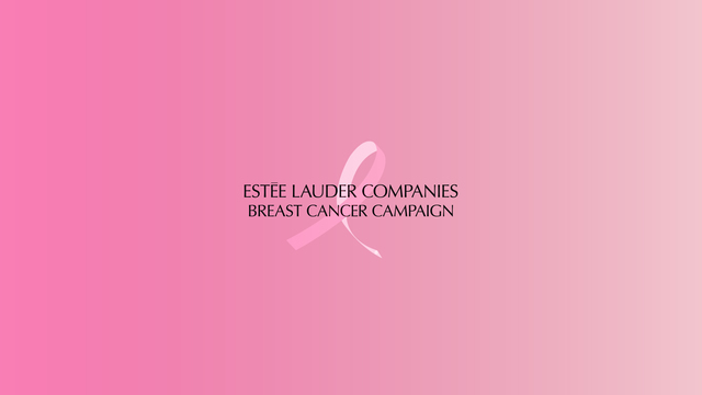 The Estée Lauder Companies  Breast Cancer Research Foundation