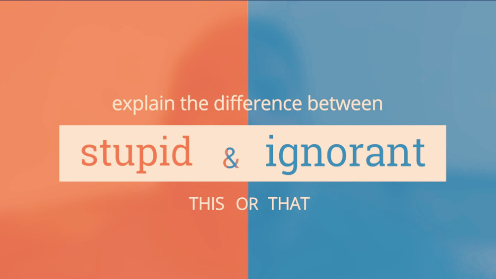Stupid Definition Of Stupid At Dictionary Com