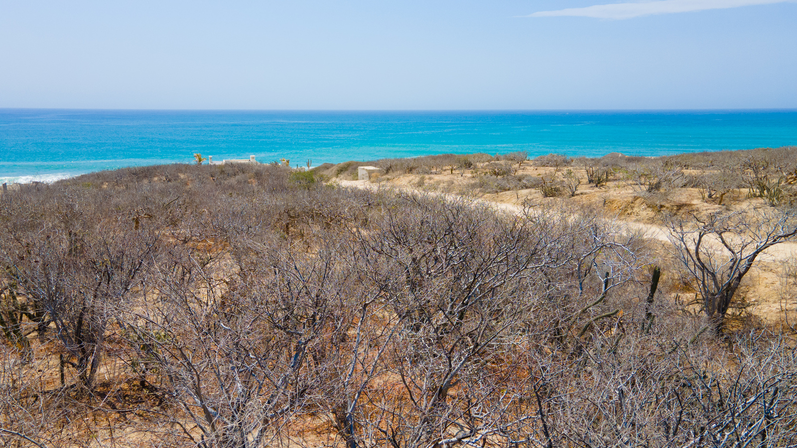 Lot 100 Costa de Oro East Cape Baja California Sur Mexico For