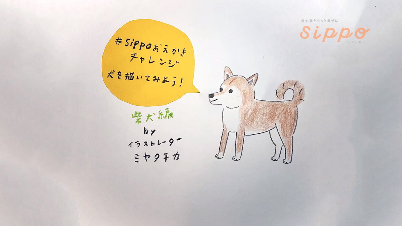 Sippoおえかきチャレンジ 犬を描いてみよう 犬 猫との幸せな暮らしのためのペット情報サイト Sippo