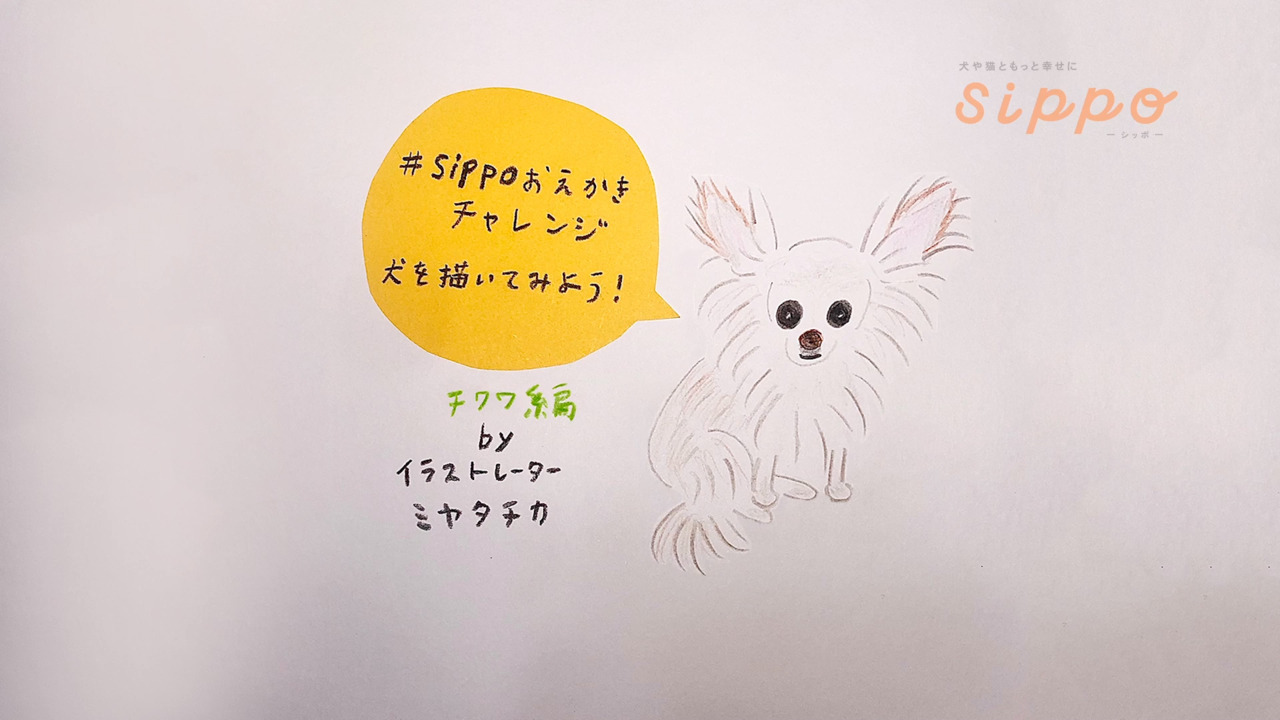 Sippoおえかきチャレンジ 犬を描いてみよう 犬 猫との幸せな暮らしのためのペット情報サイト Sippo