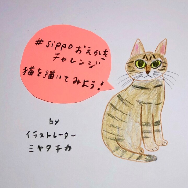 Sippoおえかきチャレンジ 猫を描いてみよう 犬 猫との幸せな暮らしのためのペット情報サイト Sippo