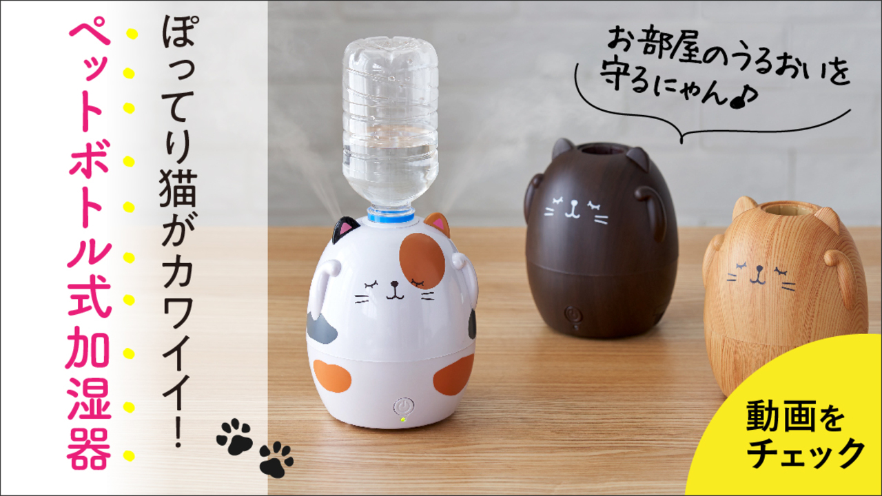 うるおいにゃんこペットボトル加湿器 セシール Cecile