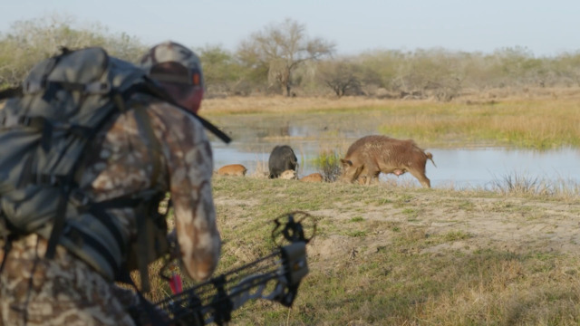 S2-E02: Texas Archery Hog