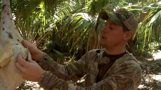 How to Pluck and Clean a Turkey with Steven Rinella