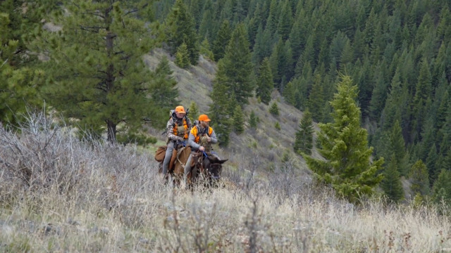 S1-E01: Montana Black Bear Hunting with Clay Newcomb