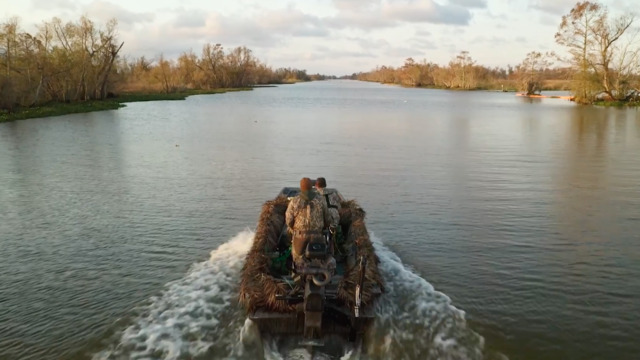 S1-E01: Land Meets Bayou