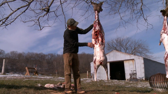 How to Butcher Your Own Deer  -  Steve's Way