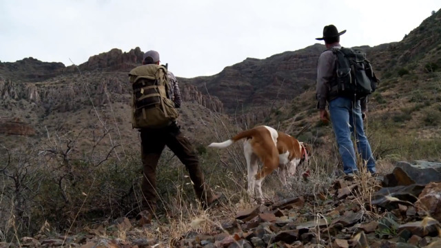 S2-E02: The Fair Chase: Arizona Mountain Lion