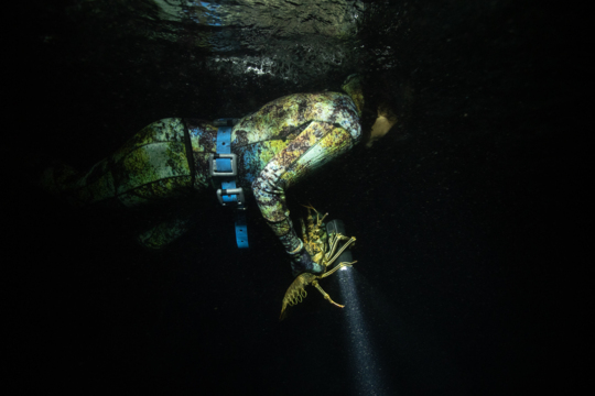 S1-E04: Night Diving for Lobsters