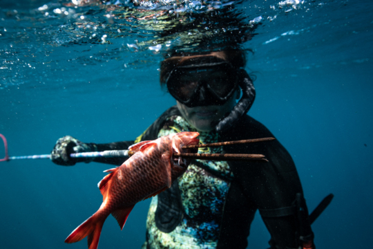 A Guide to Spearfishing with Kimi Werner