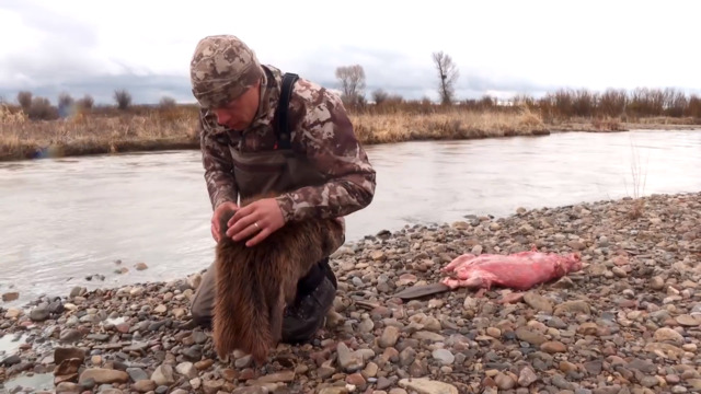 How to Skin a Beaver with Steven Rinella