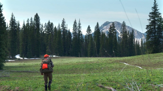 S6-E15: Mountain Memories: Montana Black Bear