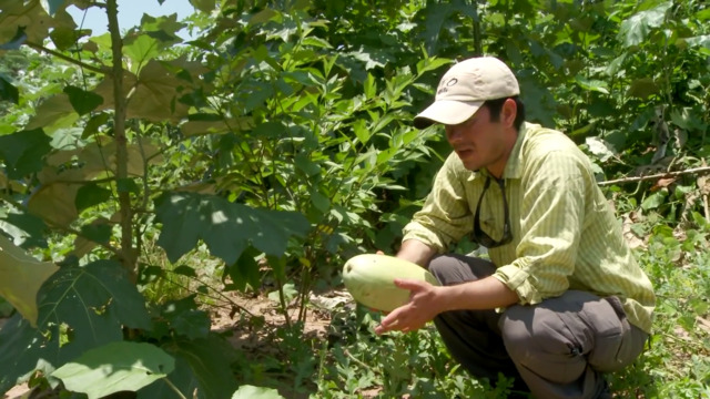 Steven Rinella Tastes Bolivian Watermelon