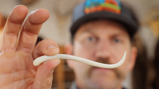 How to Make a Raccoon Baculum Toothpick with Clay Newcomb