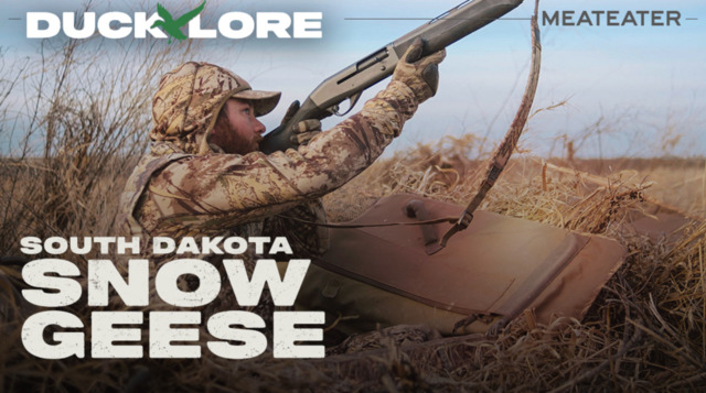 S2-E06: South Dakota Snow Geese