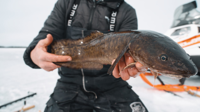 S4-E04: Ice Fishing for Burbot