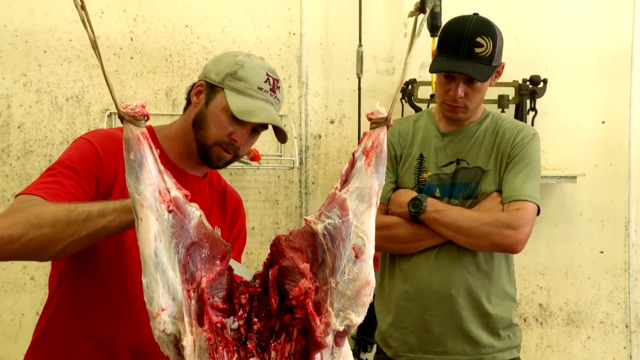 Skinning & Weighing a Wild Pig with Steven Rinella