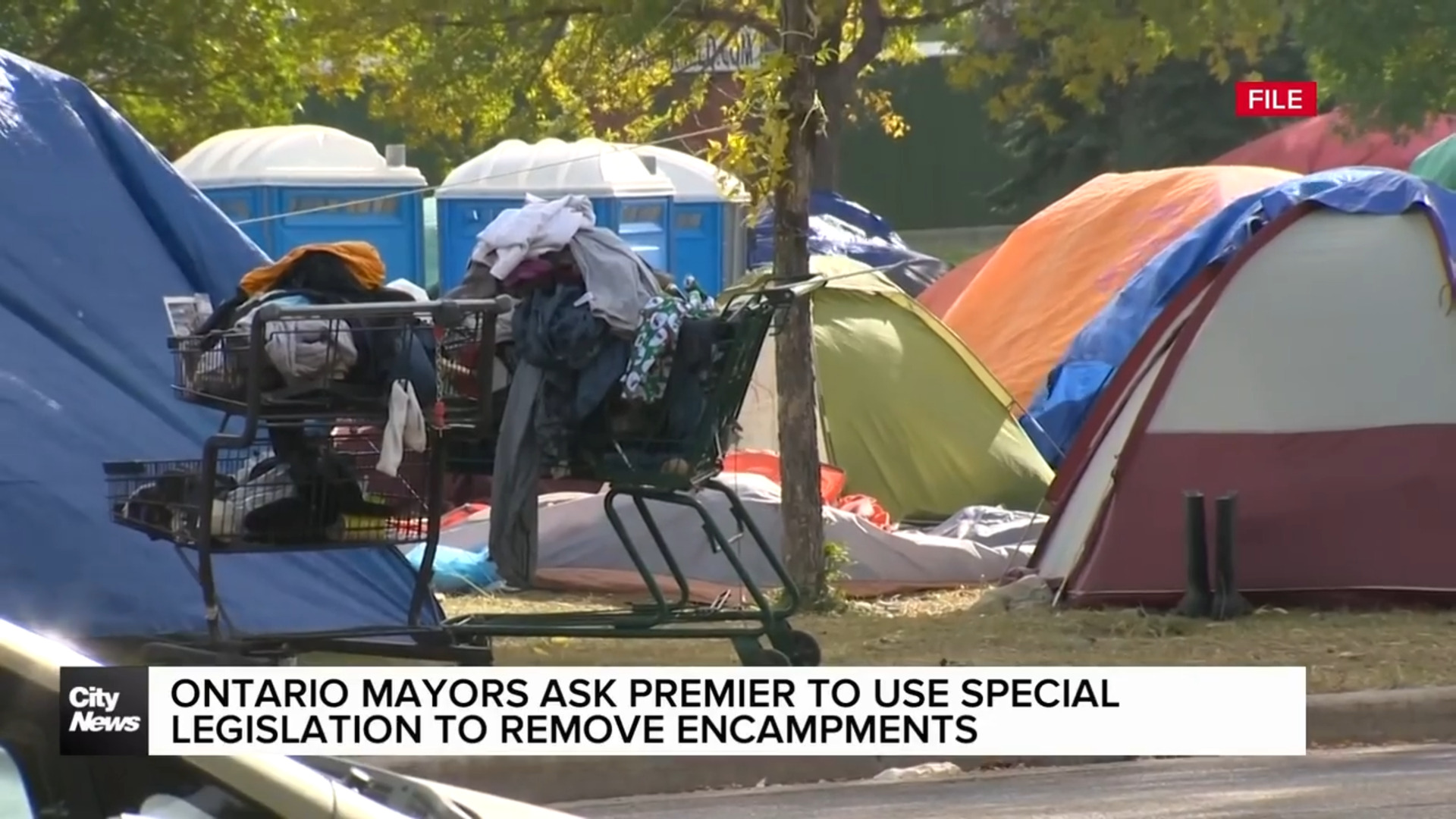 More Ontario mayors ask Premier Ford to help remove encampments