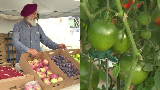 Farm to table; Abbotsford group buy pilot cuts grocery store mark-ups