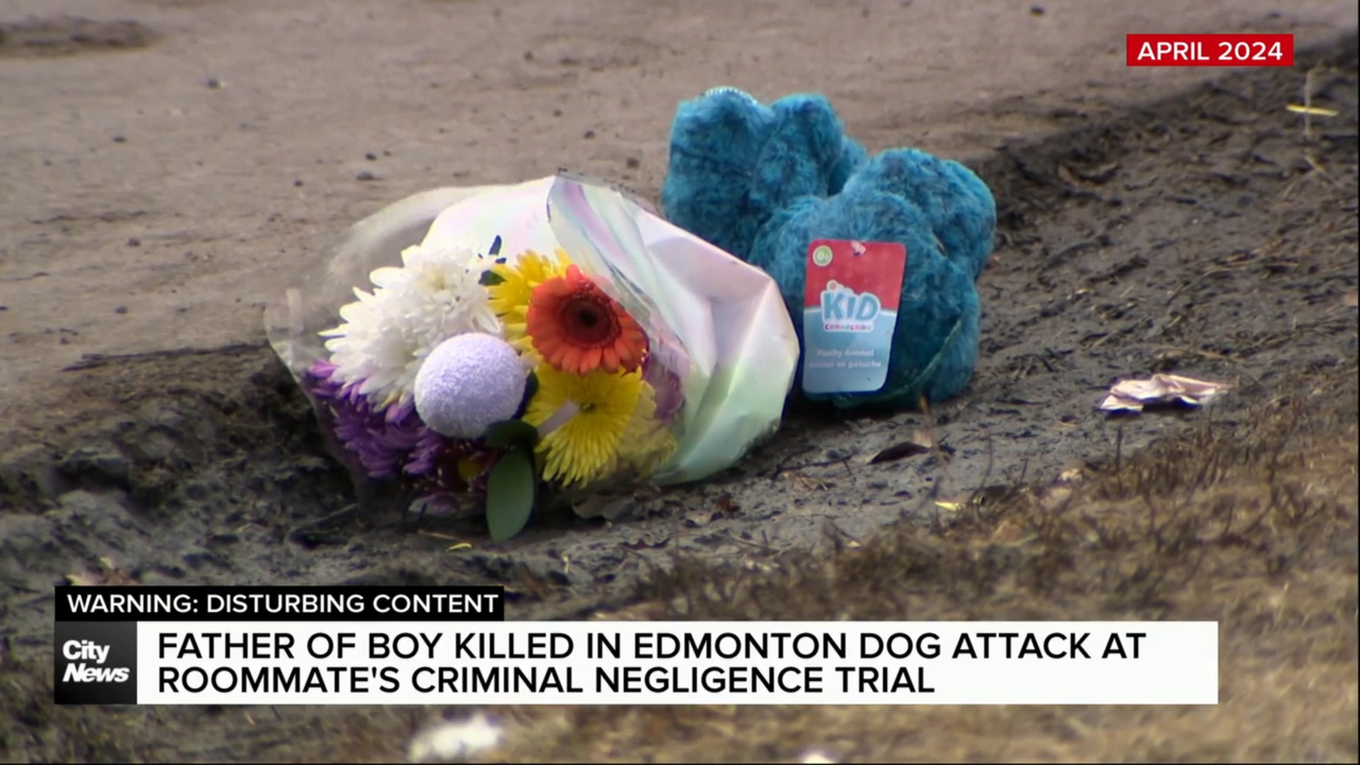 Father of boy killed in 2024 Edmonton dog attack testifies at trial