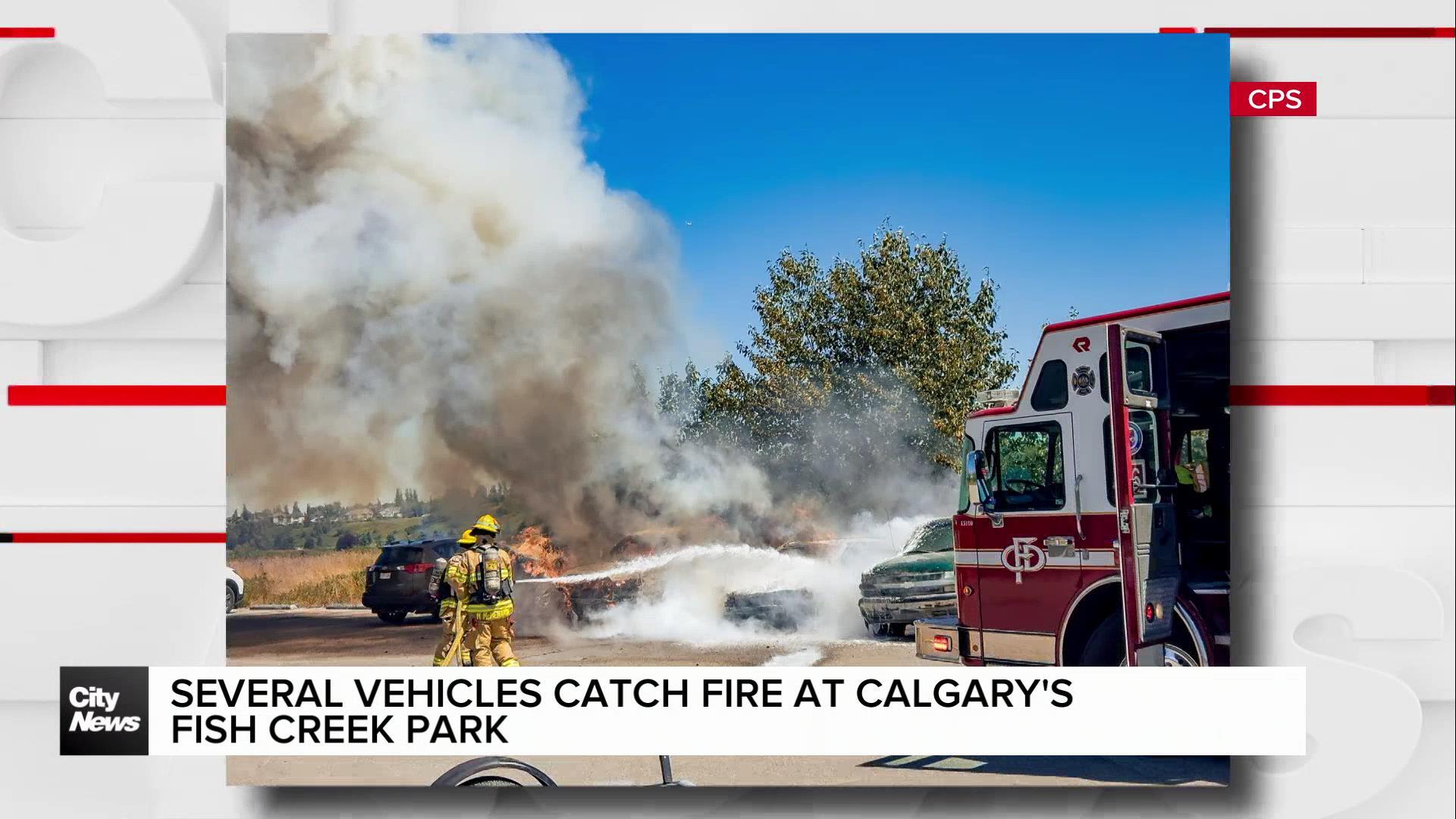 Several vehicles catch fire at Calgary's Fish Creek Park