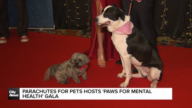Parachutes for Pet's hosts Paws for Mental Health Gala