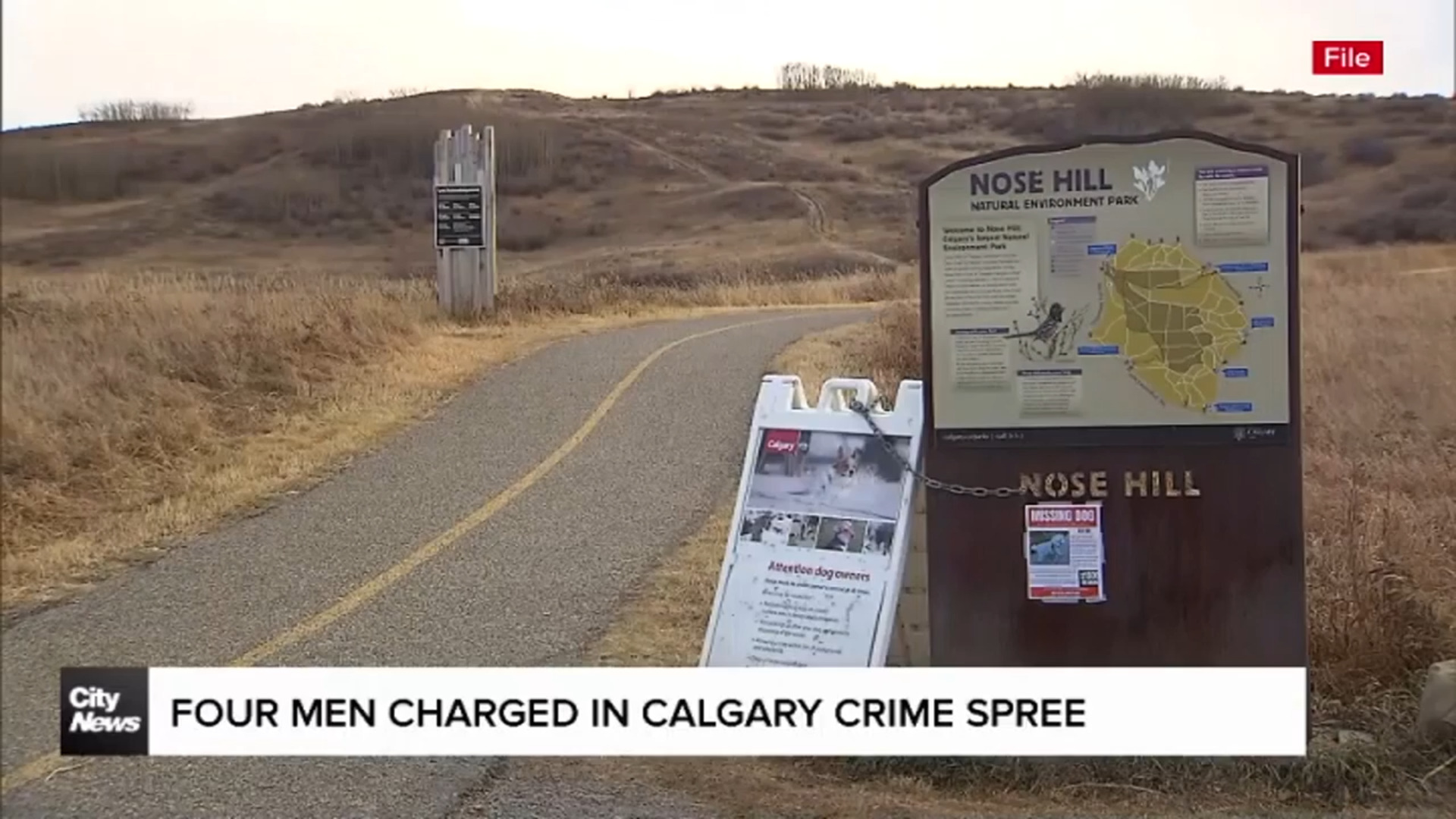 Four men charged in Calgary crime spree