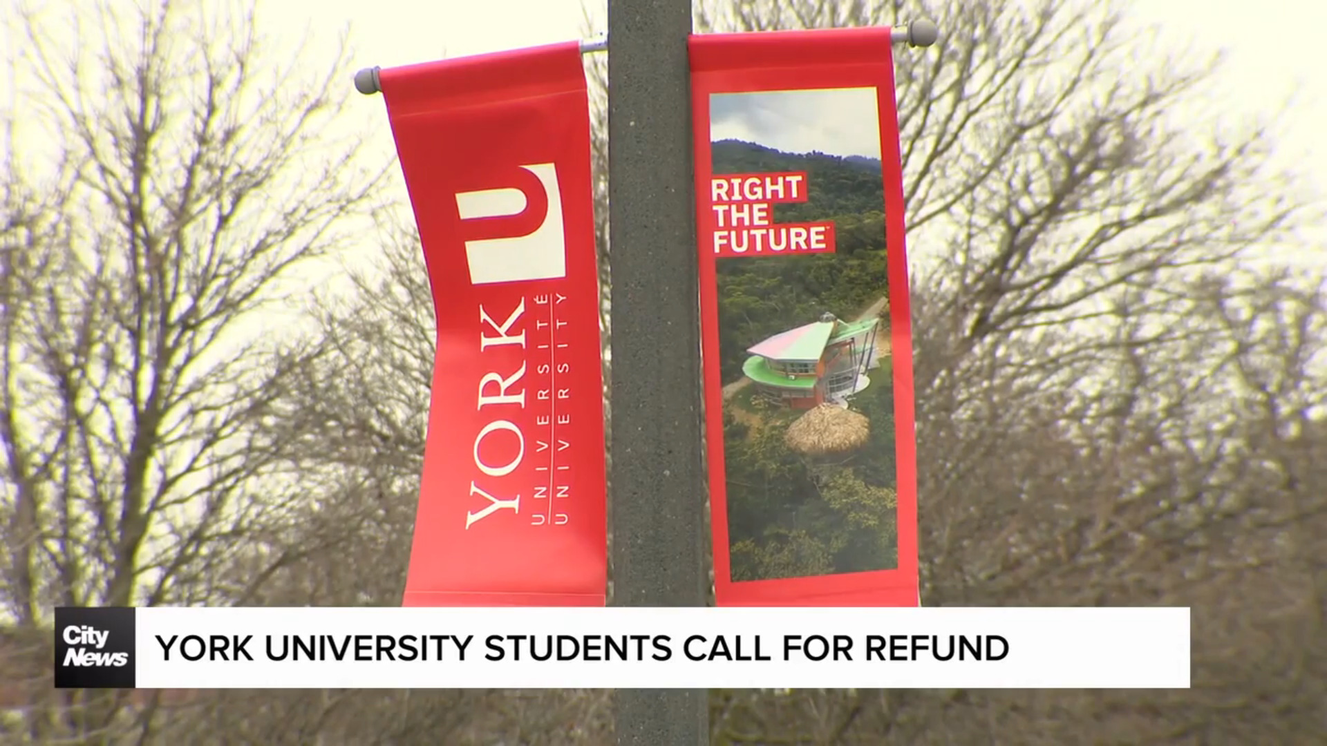 York University students call for refund