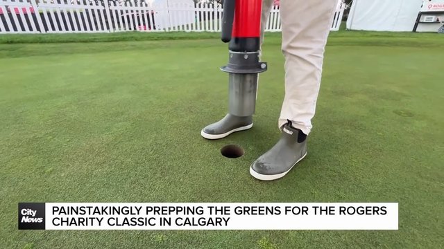 Painstakingly prepping the greens for the Roger's Charity Classic