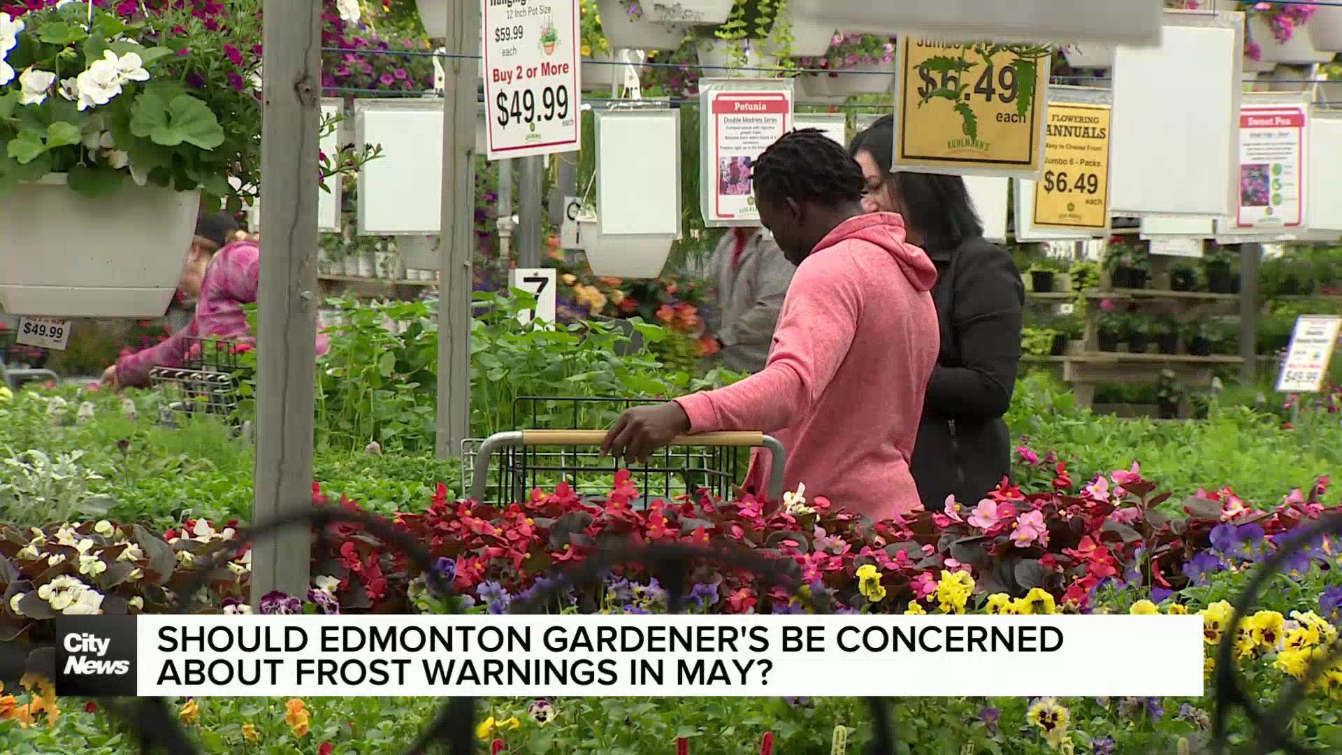Edmontonians looking to start gardens despite inconsistent weather