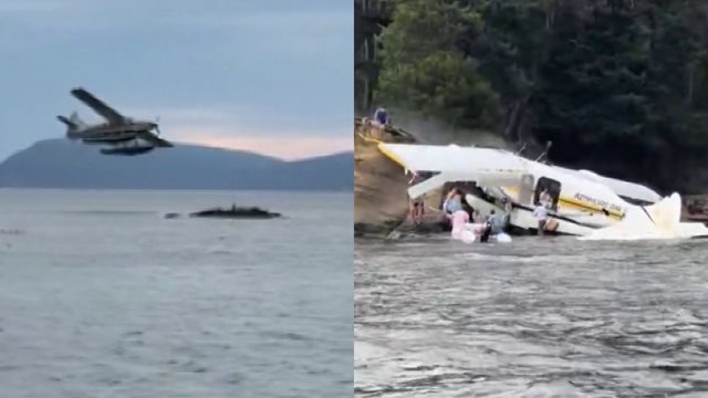 Bystanders helped rescue 11 people from seaplane crash: U.S. Coast Guard