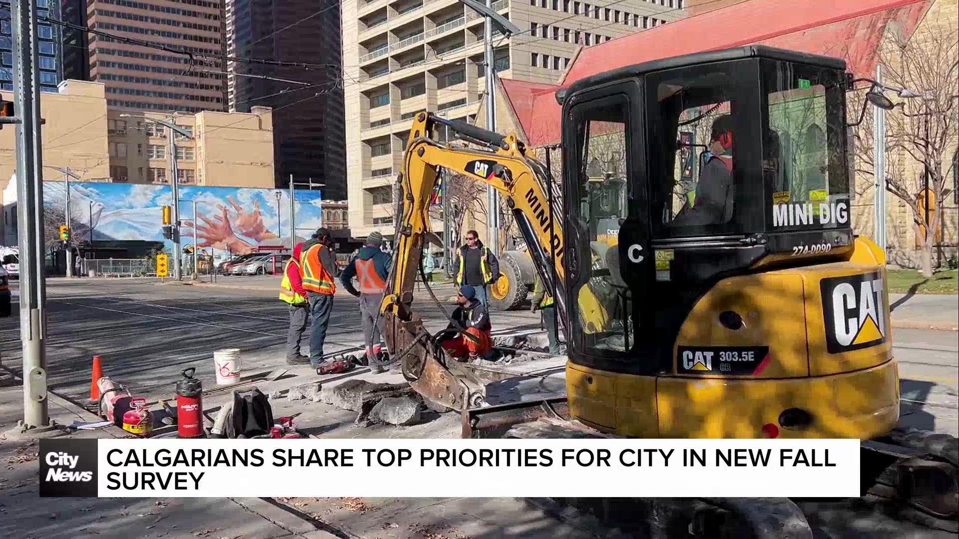 Calgarians share top priorities for city in fall survey