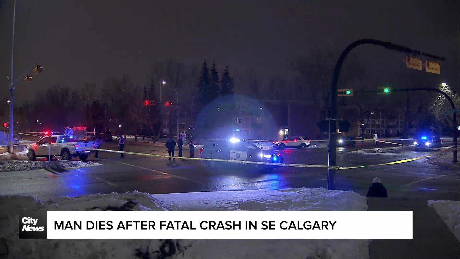 Man dies after crash in SE Calgary