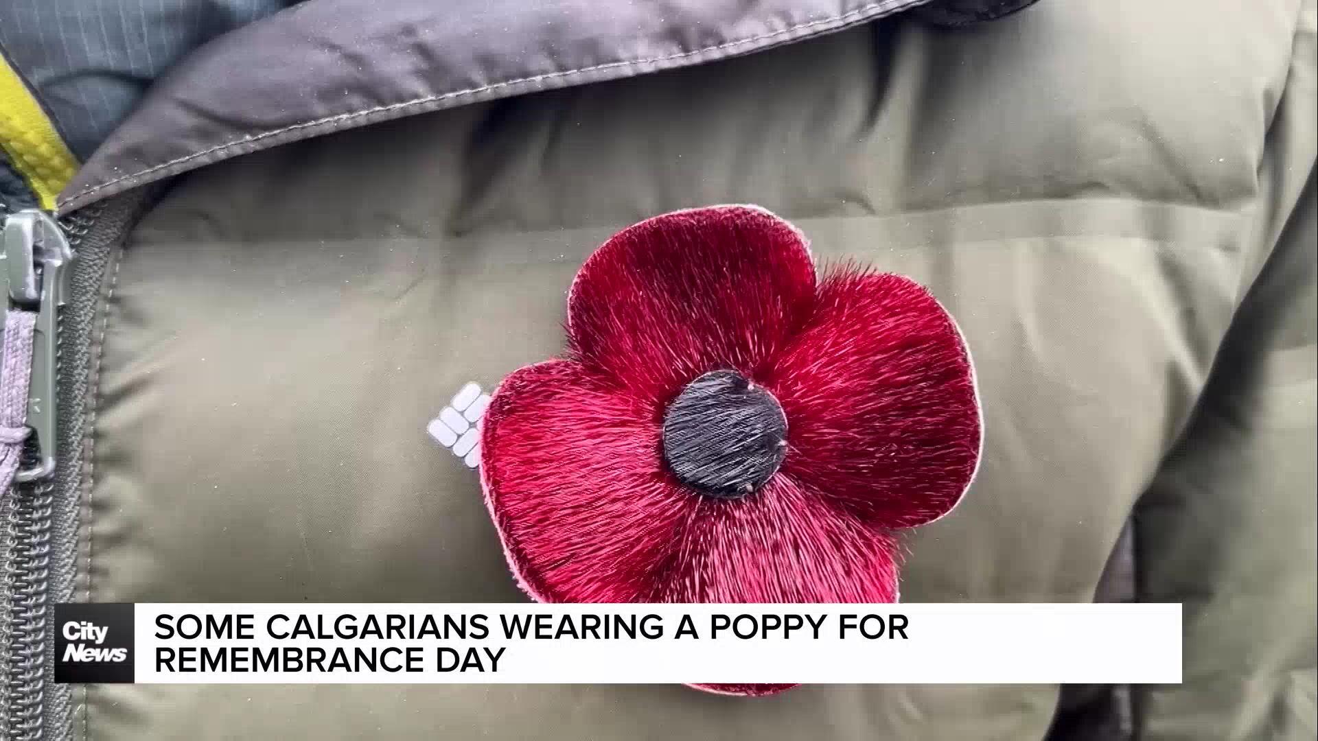 Wearing poppies for Remembrance Day