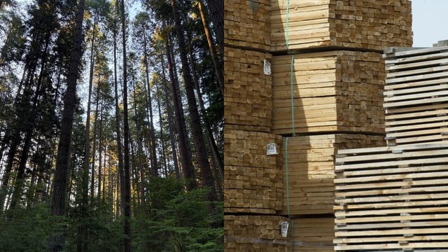 B.C.'s forestry sector sends letter to Premier Eby