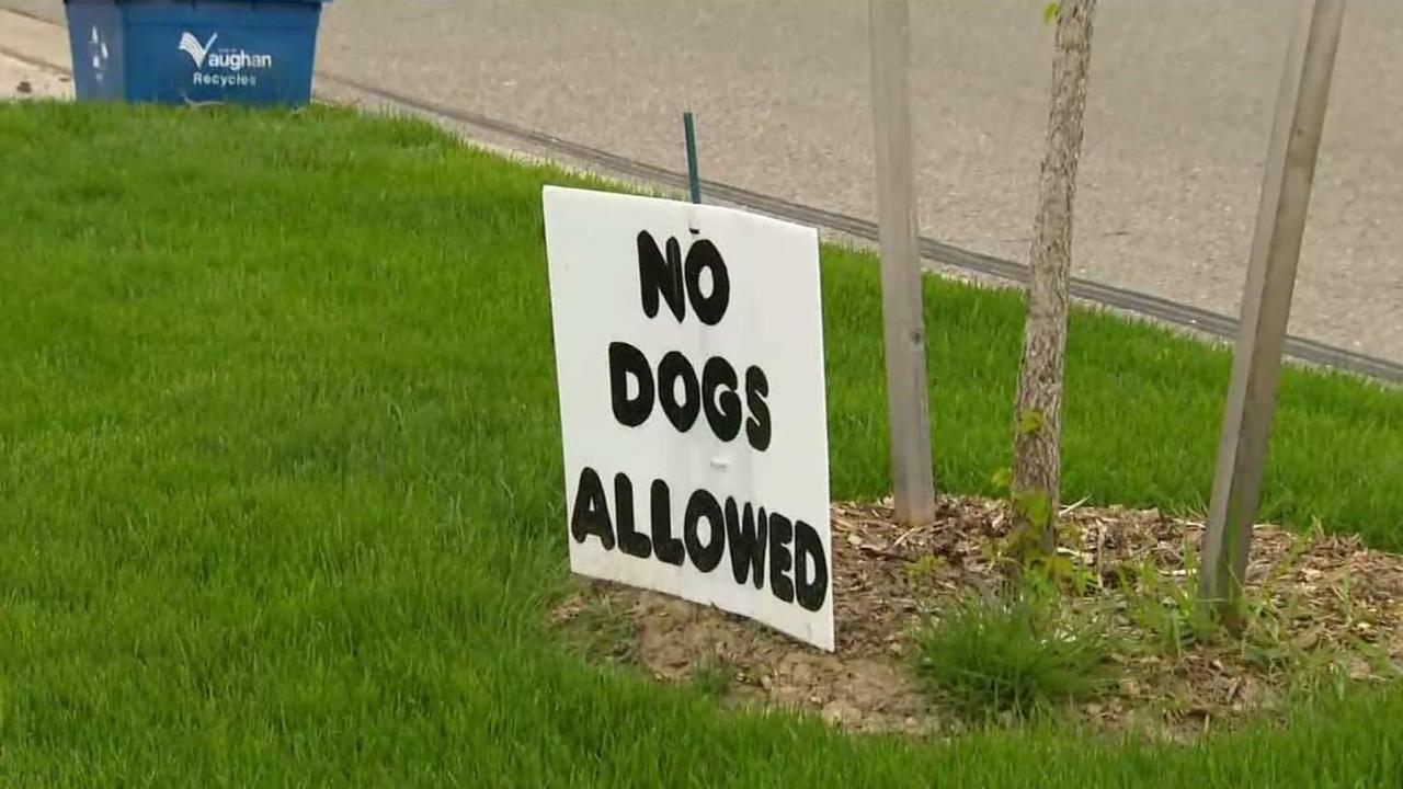 Are Dogs Allowed In Vaughan Mills