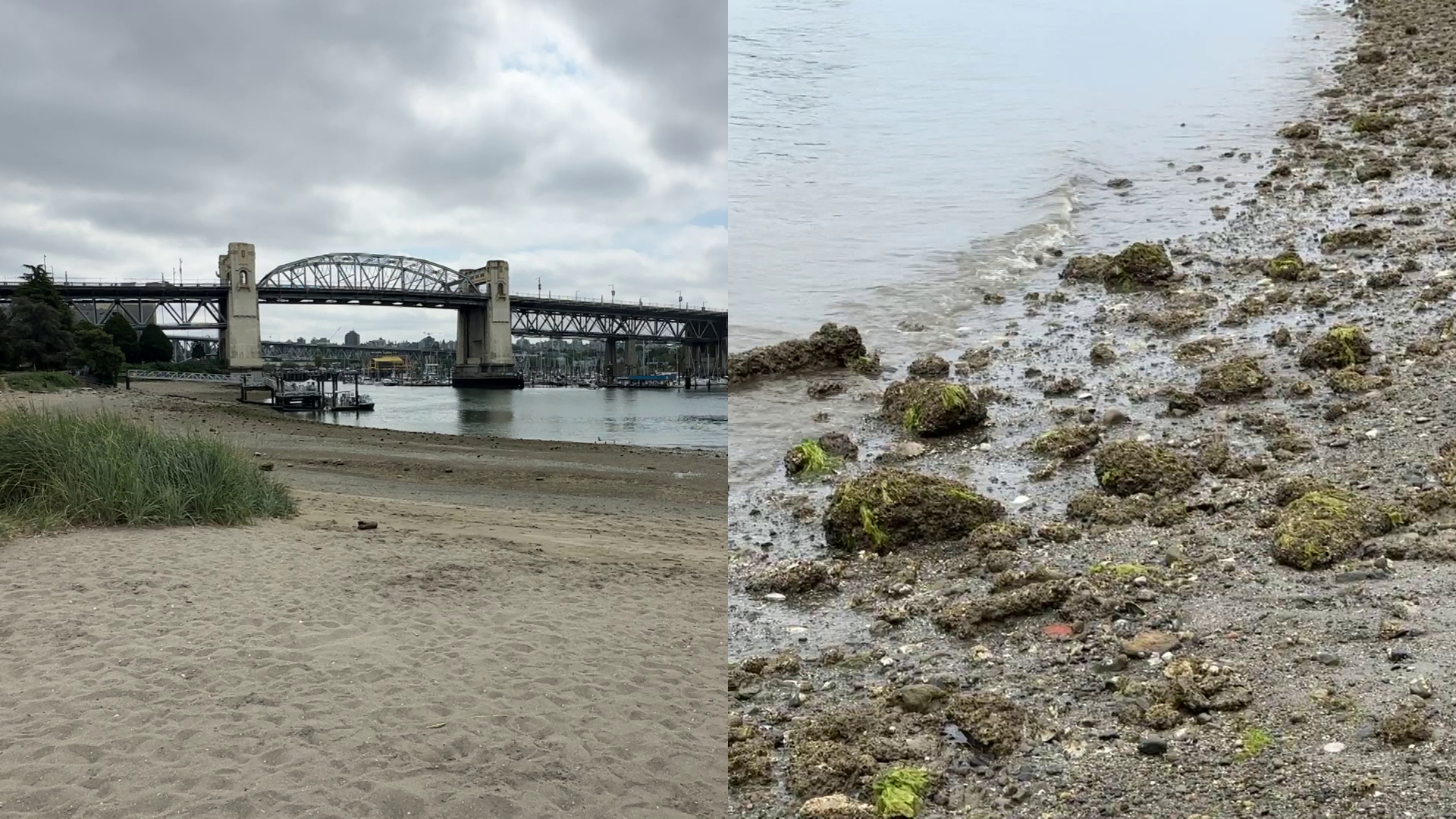 'We don’t know who she is’: Vancouver police still investigating body found on Sunset Beach