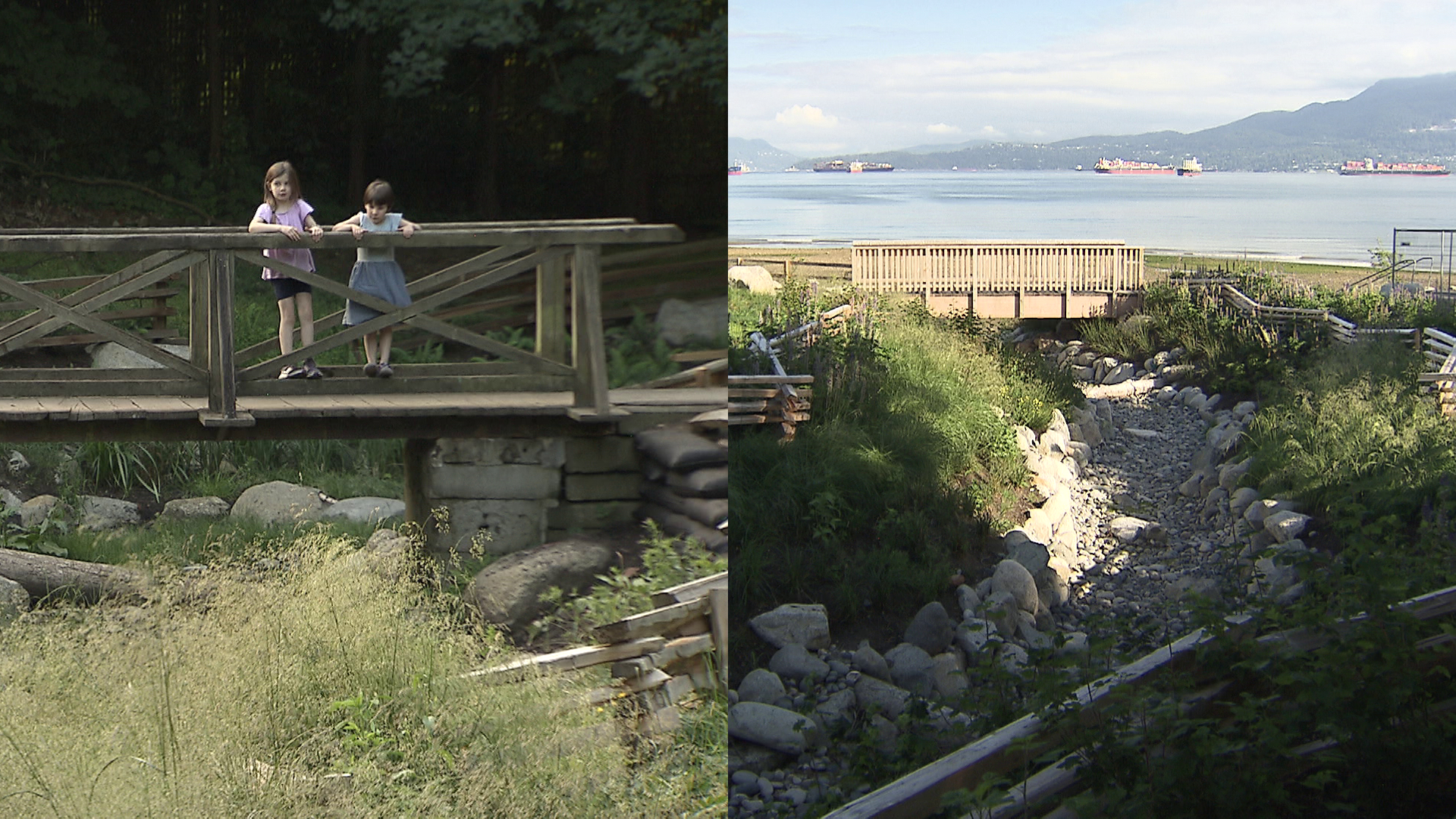 Project to 'Daylight' historic Vancouver creek complete