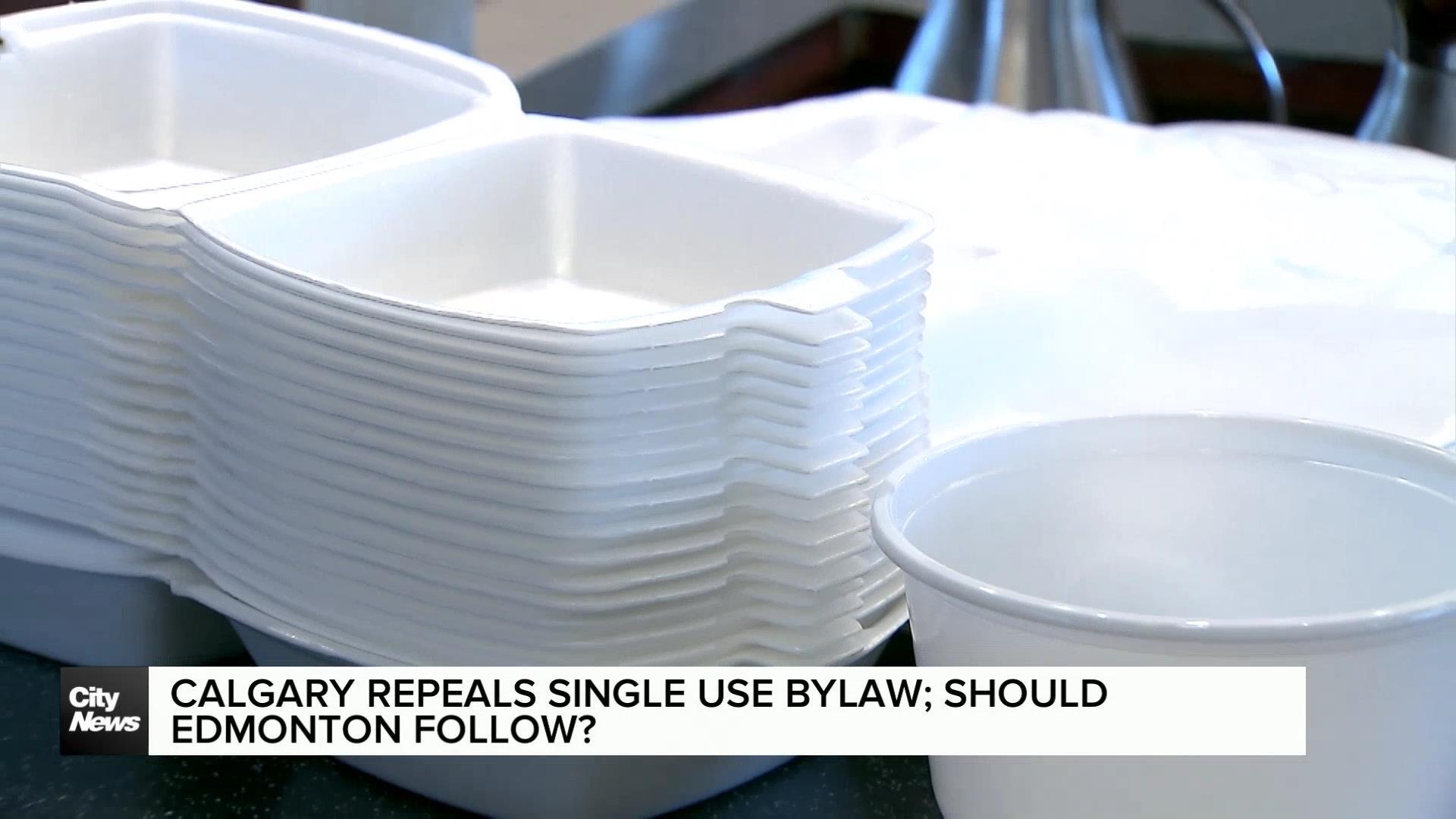 Should Edmonton look at repealing single-use bylaw?