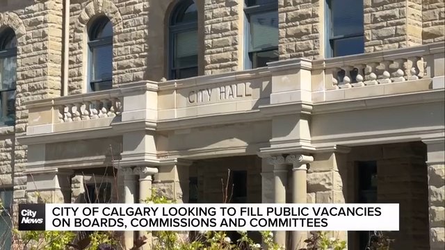 City of Calgary looking to fill public vacancies on boards, commissions and committees
