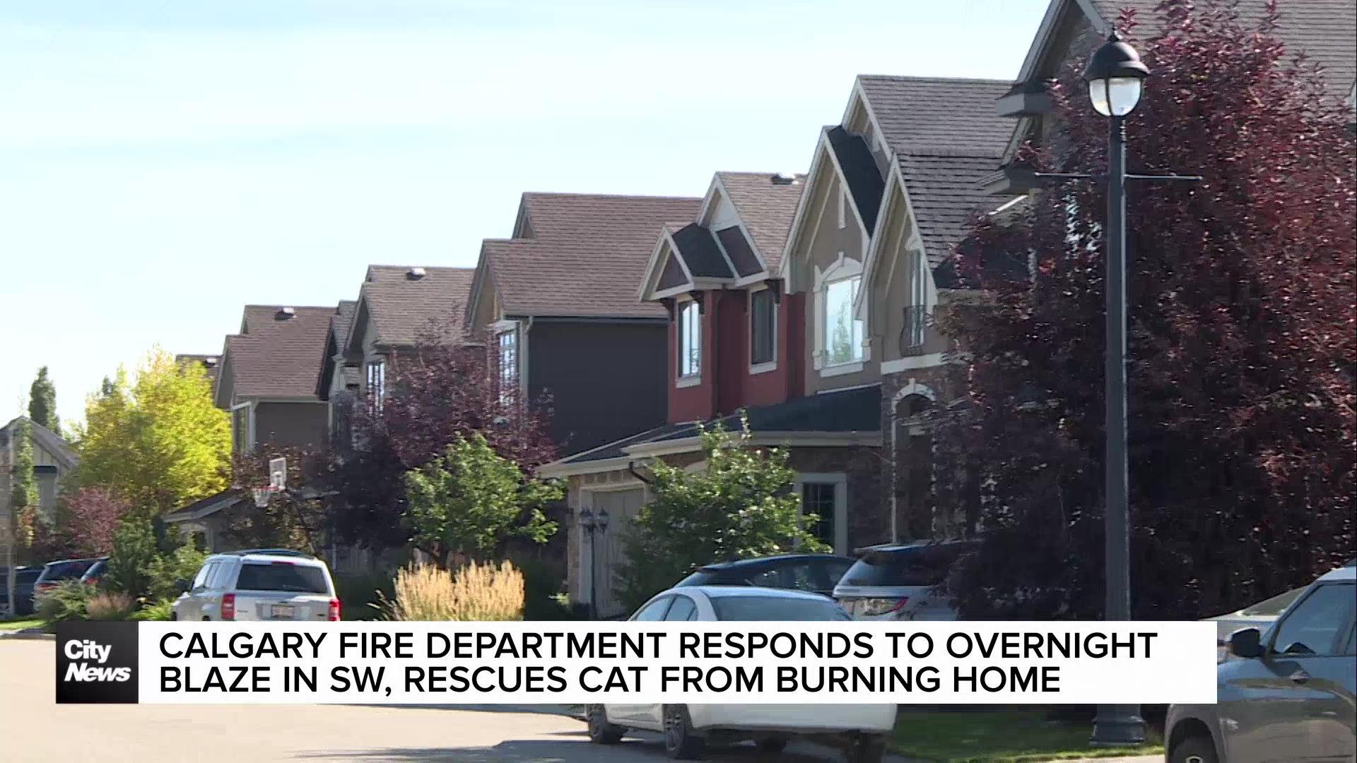 Calgary Fire Department responds to overnight blaze in SW, rescues cat from burning home